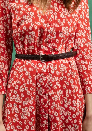 Belt  6102 Brown