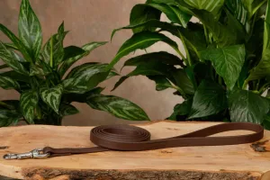 Brown Hercules 6 Foot Dog Leash