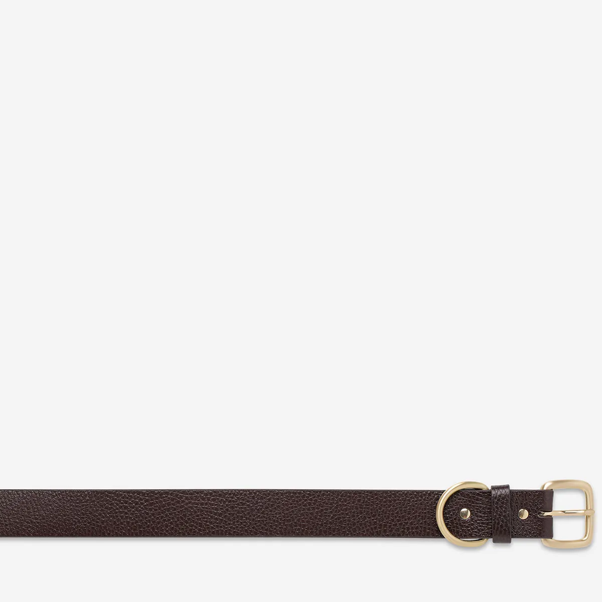 Disarm Belt - Choc/Gold