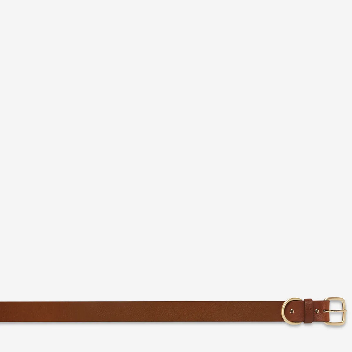 Disarm Belt - Tan/Gold