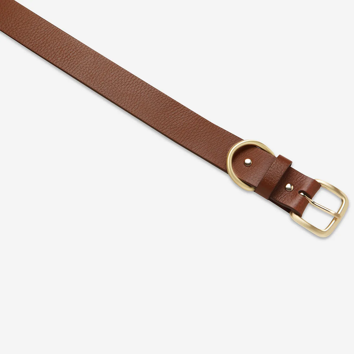 Disarm Belt - Tan/Gold