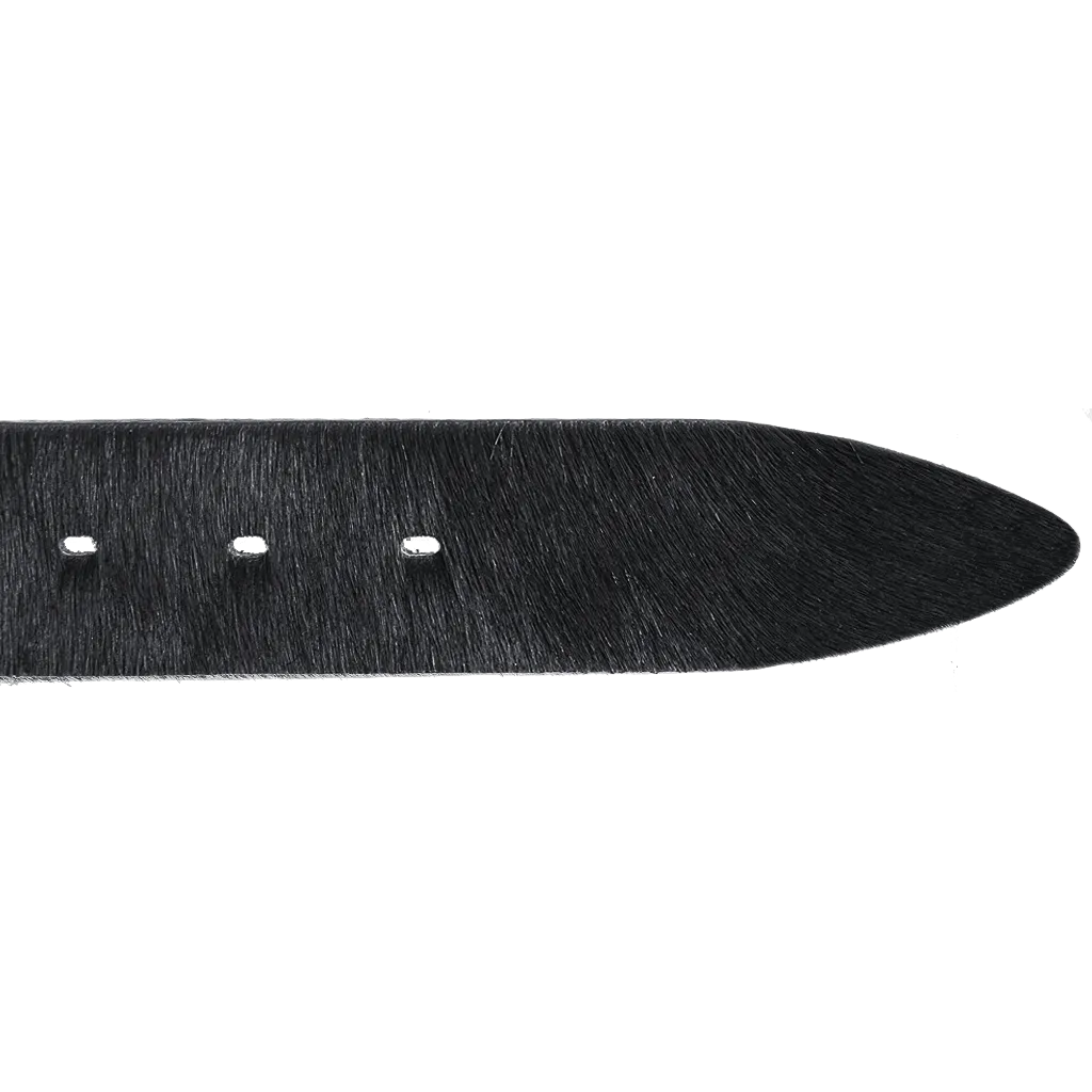 The Romulus